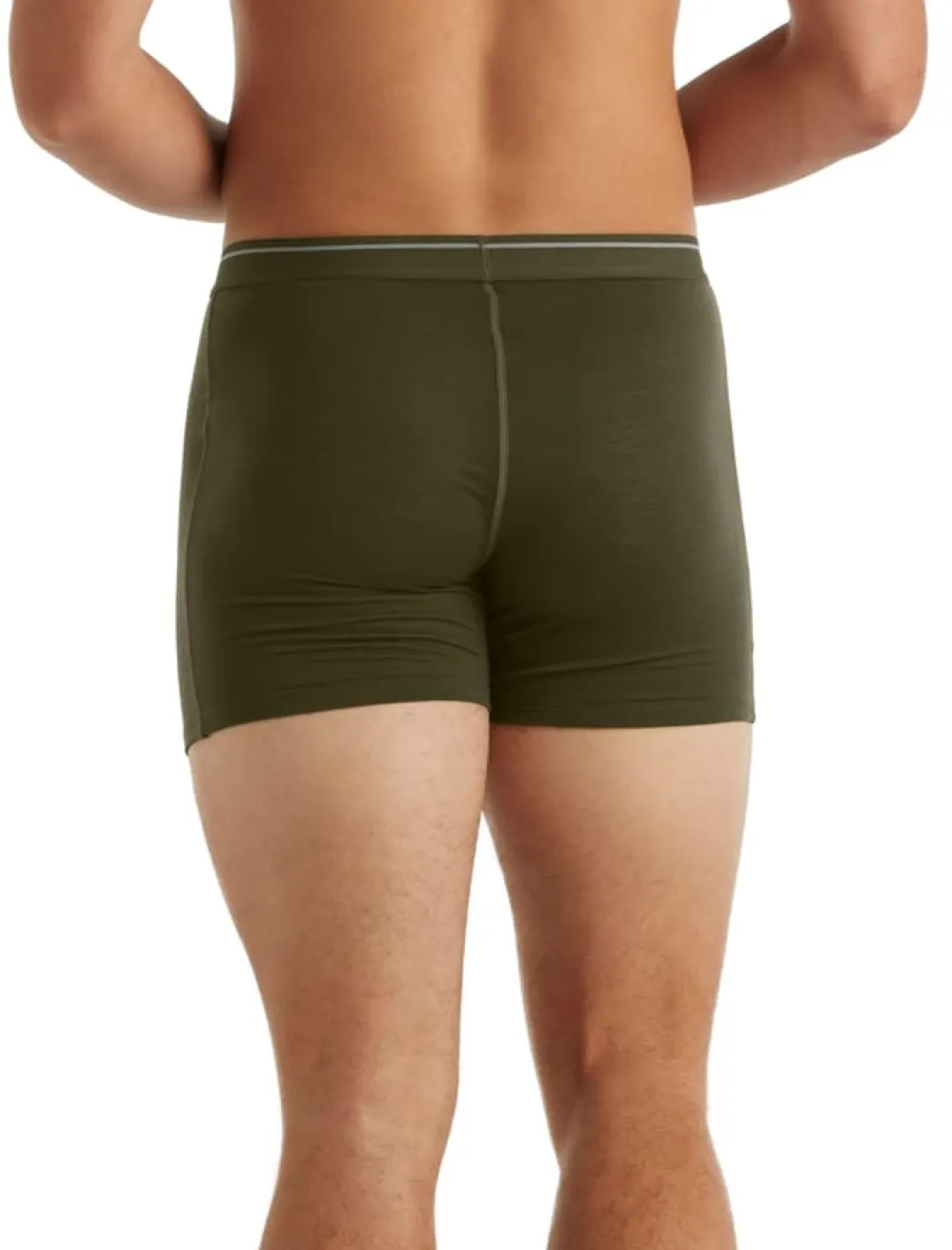 Icebreaker Men's Anatomica Boxers LODEN
