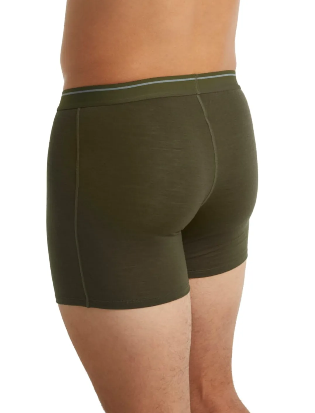 Icebreaker Men's Anatomica Boxers LODEN
