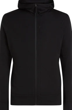Icebreaker Men's Merino 260 Quantum Iv Longsleeve Zip Hoodie Black
