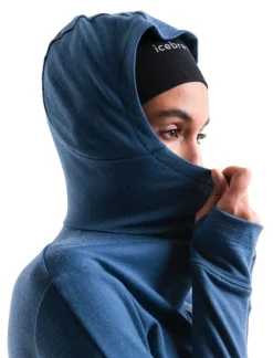 Icebreaker Women's Merino 260 Quantum Iv Longsleeve Zip Hoodie Dawn