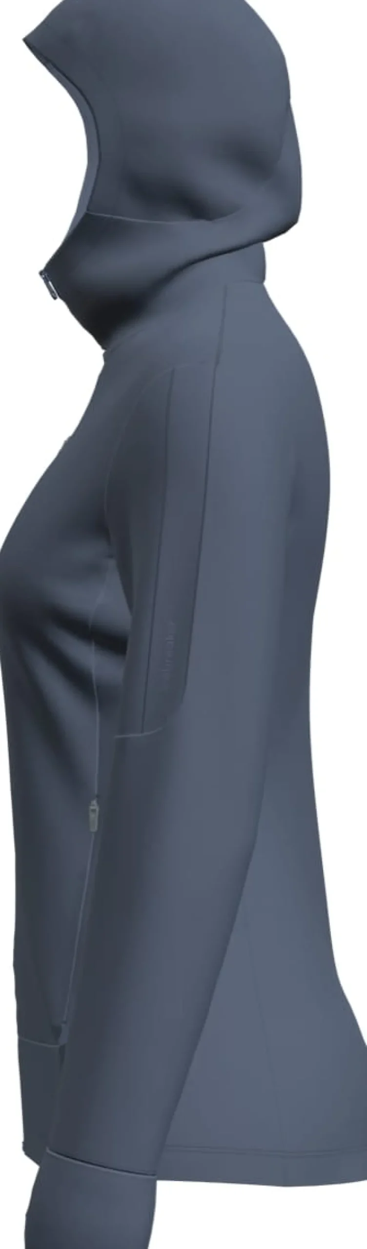 Icebreaker Women's Merino 260 Quantum Iv Longsleeve Zip Hoodie Dawn