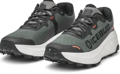 Icebug Women's Arcus 2 Bugrip Gore-Tex Grey
