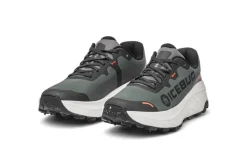 Icebug Women's Arcus 2 Bugrip Gore-Tex Grey