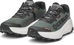 Icebug Women's Arcus 2 Bugrip Gore-Tex Grey