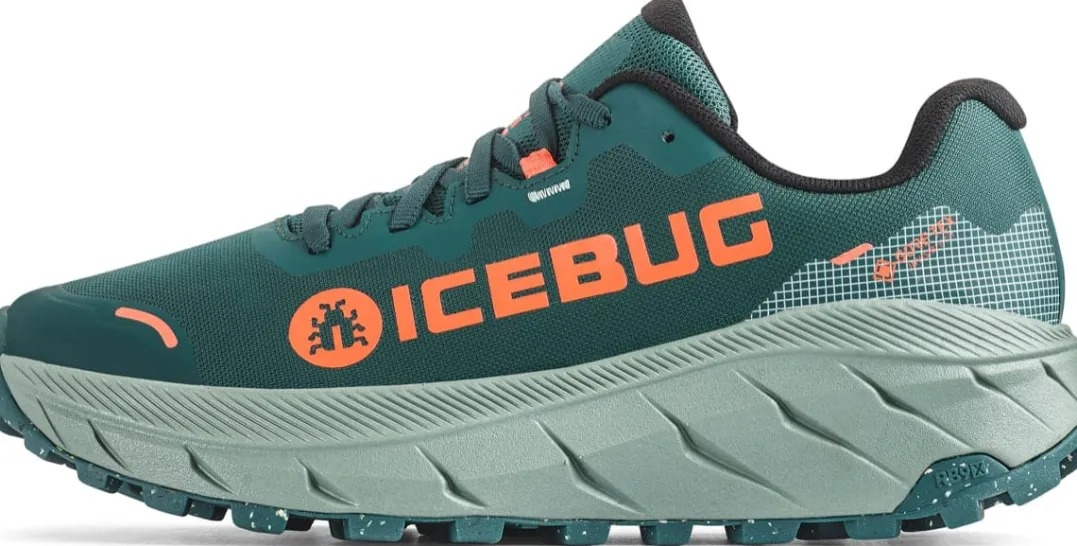 Icebug Women's Arcus 2 RB9X Gore-Tex Seamoss/coral