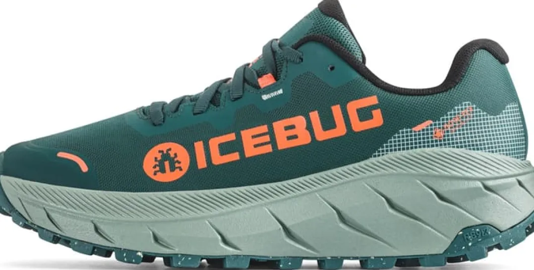 Icebug Women's Arcus 2 RB9X Gore-Tex Seamoss/coral