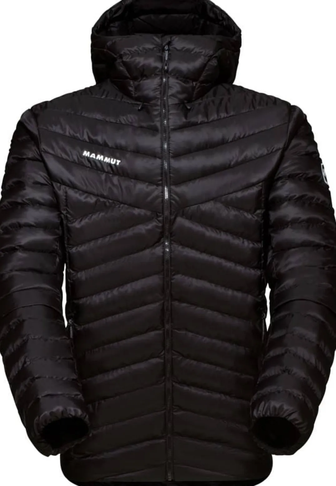 Mammut Albula In Hooded Jacket Men Black