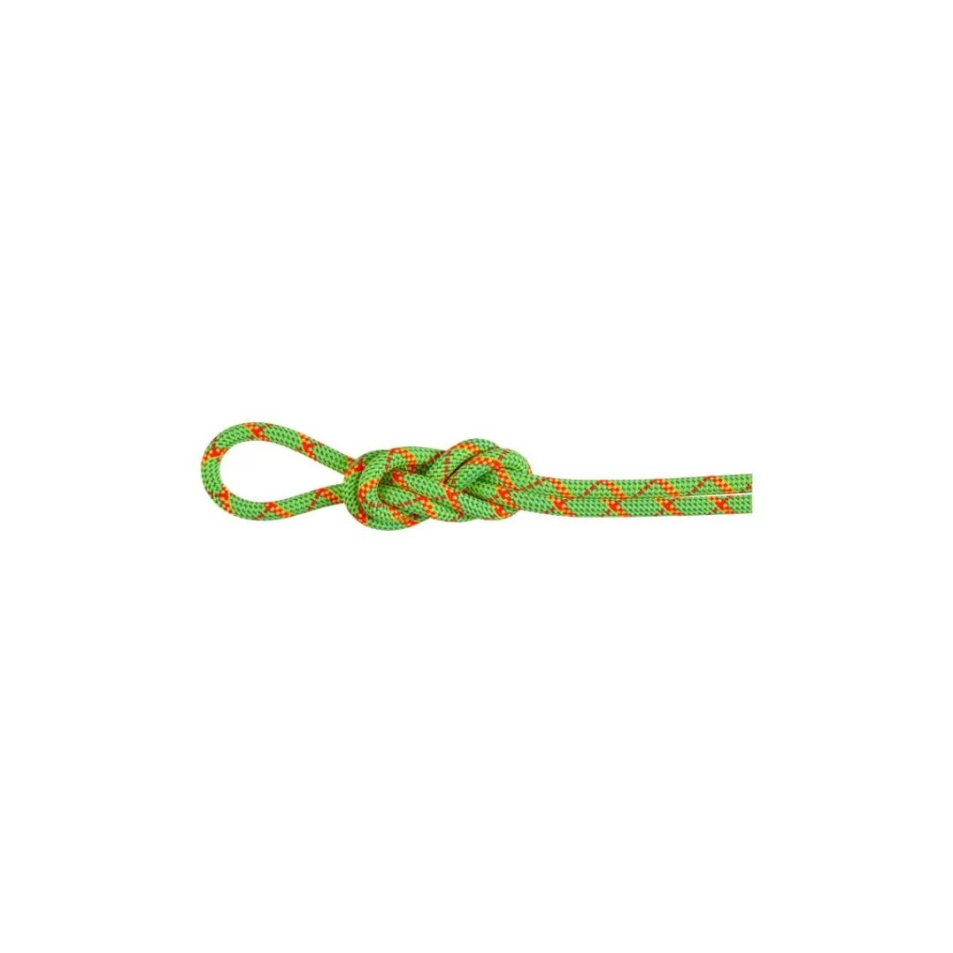 Mammut 8.0 Alpine Core Protect Dry Rope 70m Halo-vibrant Orange
