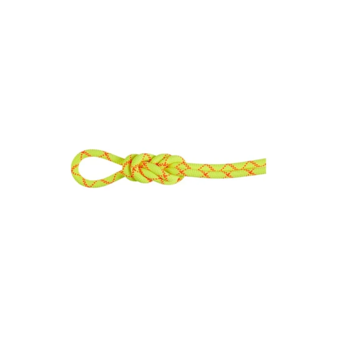 Mammut 9.5 Alpine Core Protect Dry Rope 80m Halo-vibrant Orange