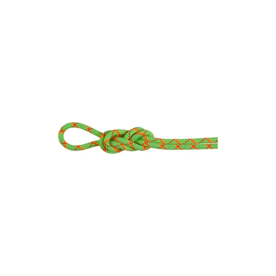 Mammut 8.0 Alpine Core Protect Dry Rope 60m Halo-vibrant Orange