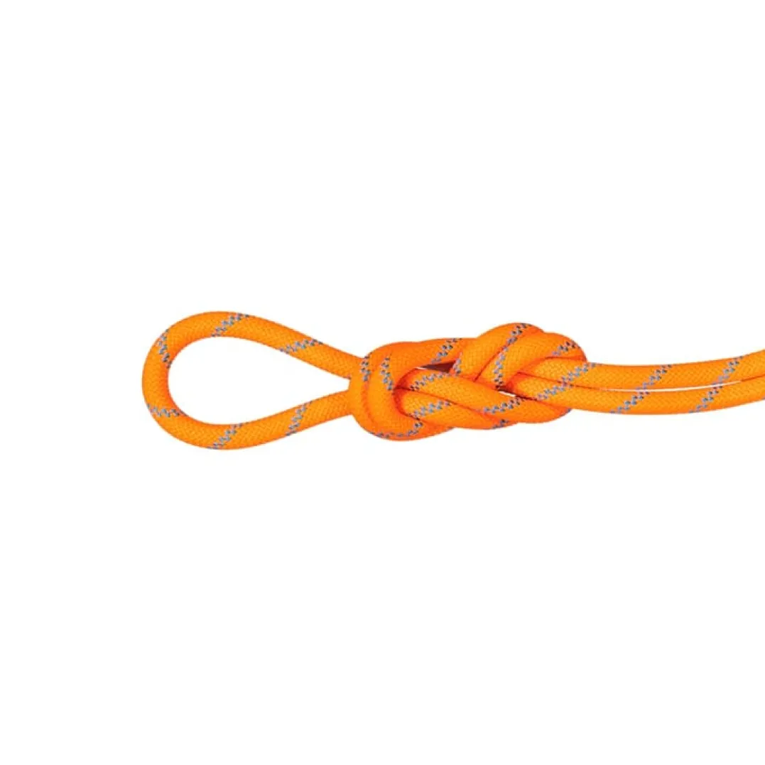 Mammut 8.7 Alpine Sender Dry Rope 30m Vibrant Orange-ocean