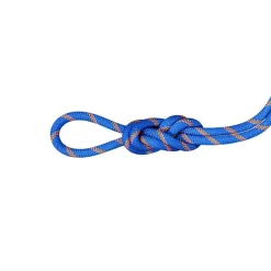 Mammut 9.0 Alpine Sender Dry Rope 40m Ice-sunrise
