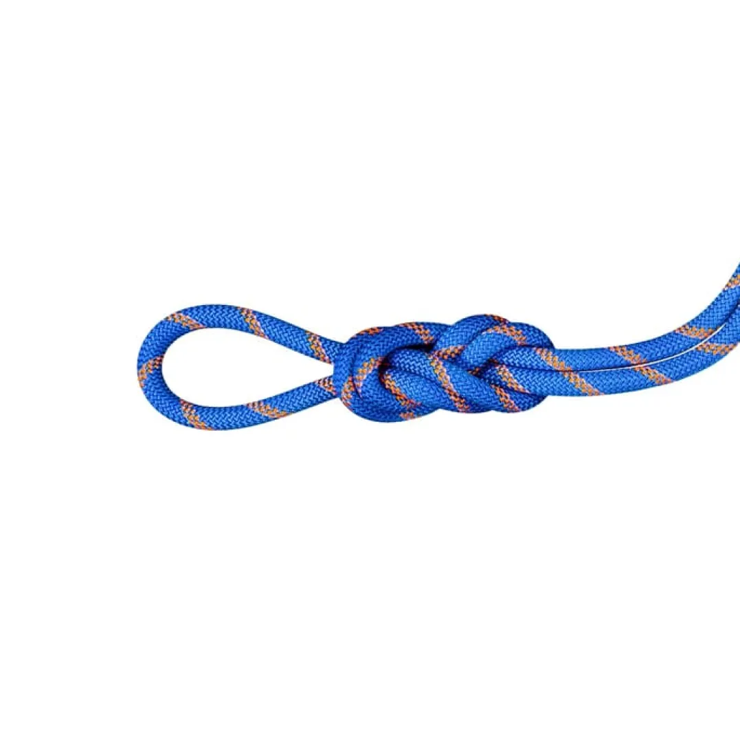 Mammut 9.0 Alpine Sender Dry Rope 40m Ice-sunrise
