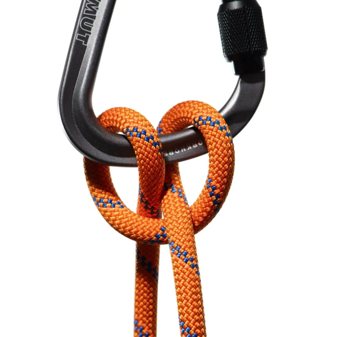 Mammut 9.0 Alpine Sender Dry Rope 50m Sunrise-ice