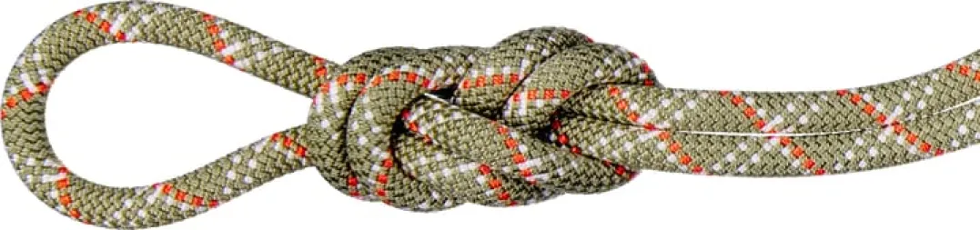 Mammut 9.5 Gym Classic Rope 50m Boa-white