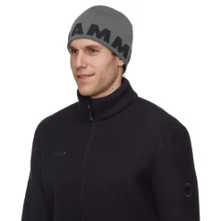 Mammut Mammut Logo Beanie Steel-black