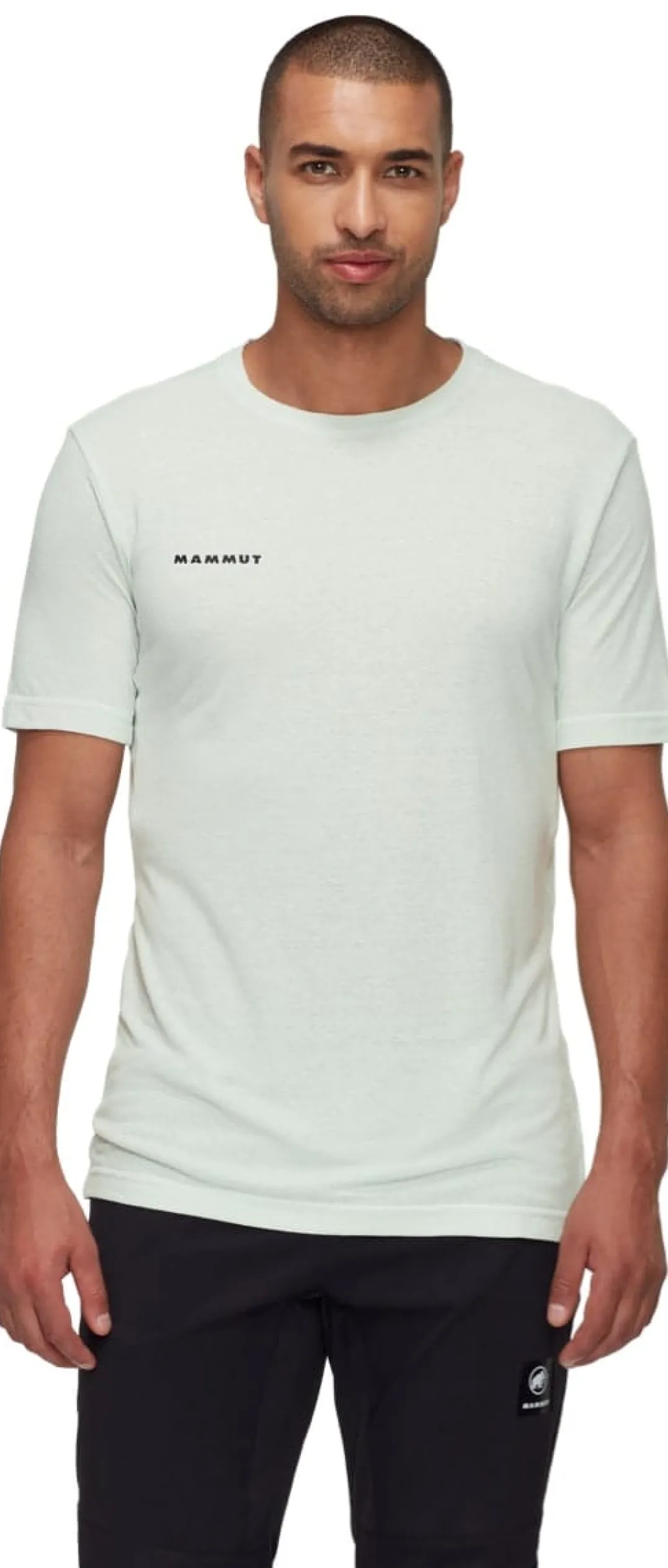 Mammut Massone Light T-Shirt Men Silver Sage