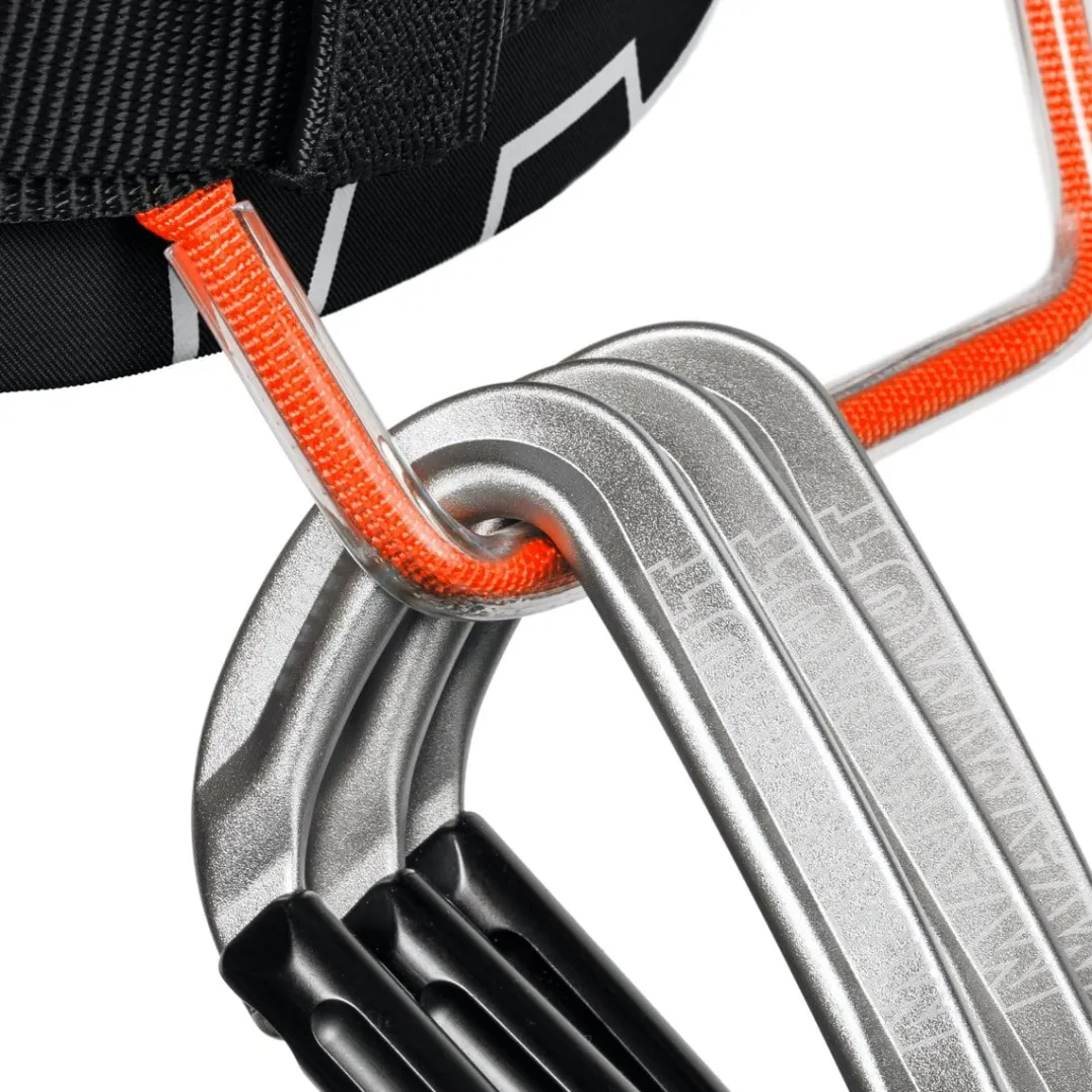 Mammut 4 Slide Harness Black