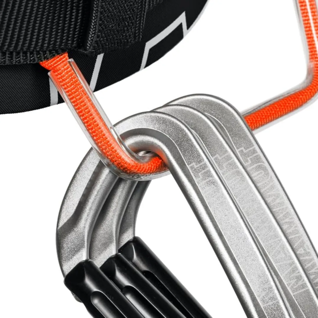 Mammut 4 Slide Harness Black