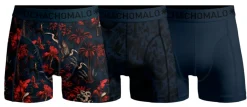 Muchachomalo Palm Birds 01 3pk Boxer Print/print/solid