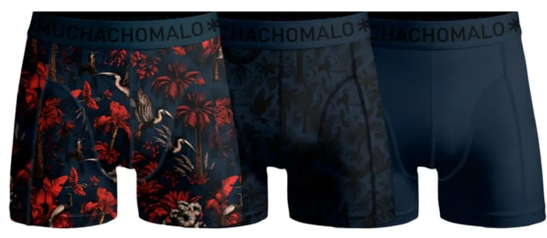 Muchachomalo Palm Birds 01 3pk Boxer Print/print/solid