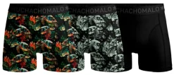 Muchachomalo Turtle 01 3pk Boxer Print/print/solid