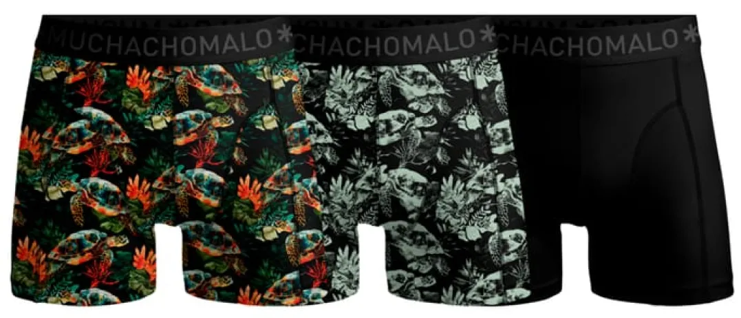 Muchachomalo Turtle 01 3pk Boxer Print/print/solid