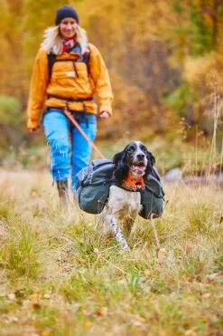 Non-stop Dogwear AmundsenGray/Black