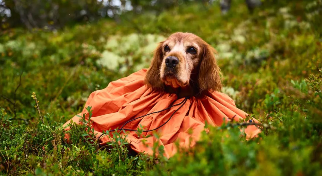 Non-stop Dogwear Bivvy Bag Orange Medium