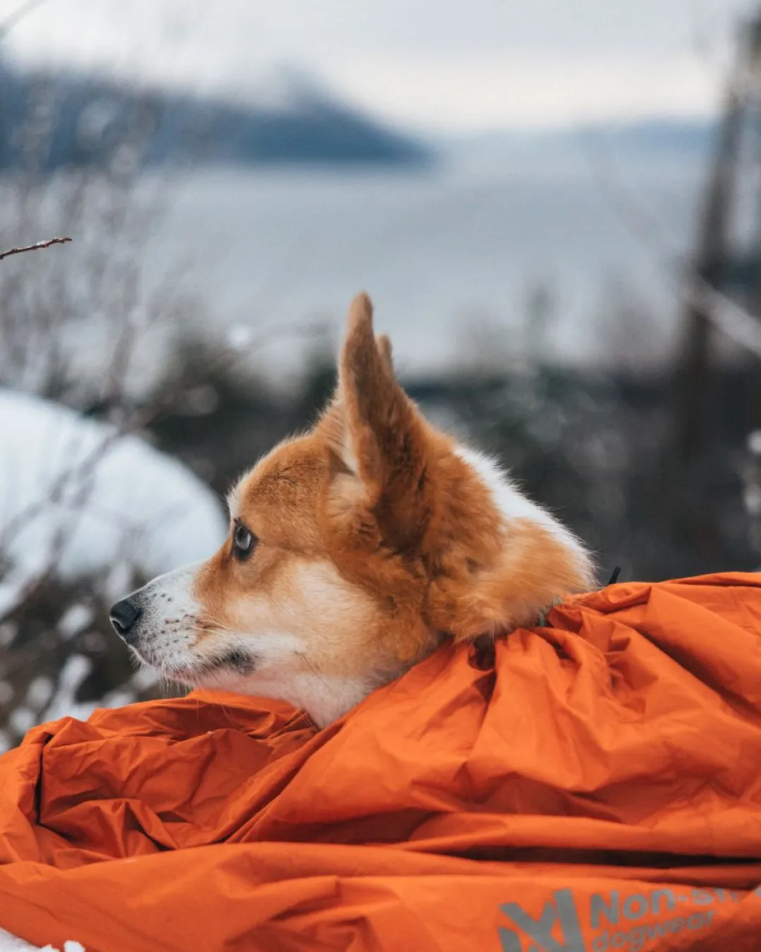 Non-stop Dogwear Bivvy Bag Orange Large