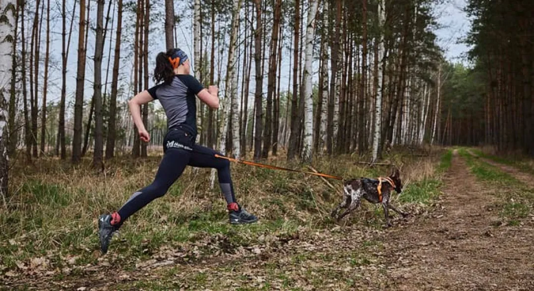 Non-stop Dogwear Canix Belt Pro Black