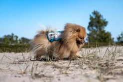 Non-stop Dogwear Cooling Vest Light gray/Teal