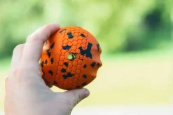 Non-stop Dogwear Dog Ball 70x70 Orange/black