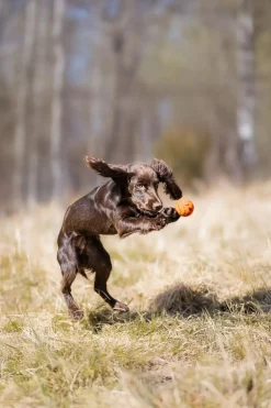 Non-stop Dogwear Dog Ball 70x70 Orange/black