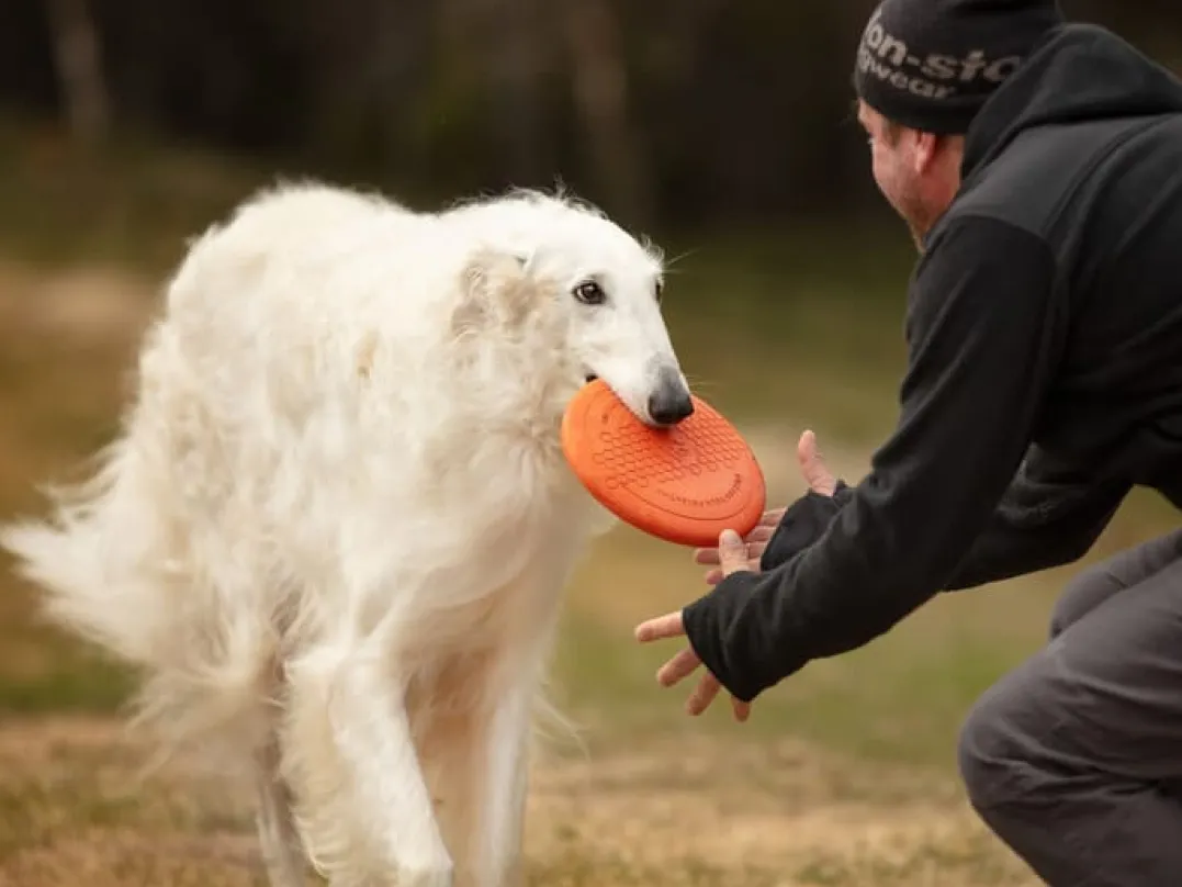 Non-stop Dogwear Dog Flying Disc Orange/black