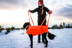 Non-stop Dogwear Dog Rescue Sling Orange