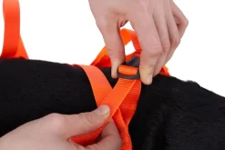 Non-stop Dogwear Dog Rescue Sling Orange