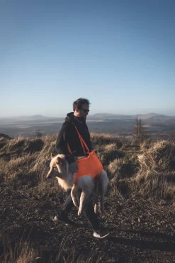 Non-stop Dogwear Dog Rescue Sling Orange