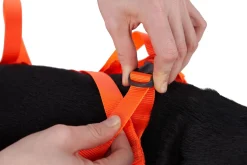 Non-stop Dogwear Dog Rescue Sling Orange