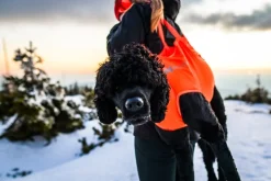 Non-stop Dogwear Dog Rescue Sling Orange