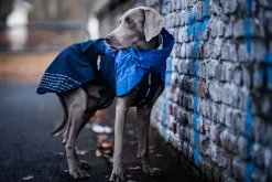 Non-stop Dogwear Fjord Raincoat - Small Sizes Black