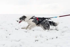 Non-stop Dogwear Freemotion Harness Black