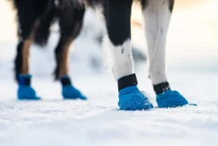 Non-stop Dogwear Long Distance Booties 4-pack (2021) Blue