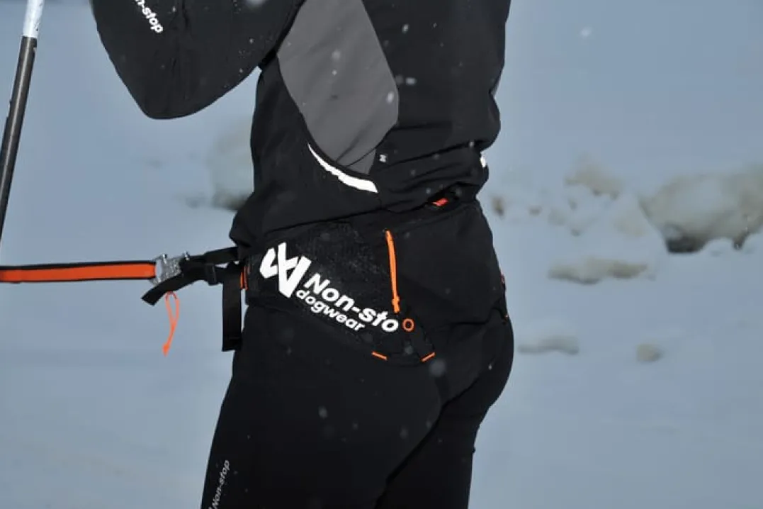 Non-stop Dogwear Løype Belt Pro Black
