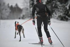 Non-stop Dogwear Løype Belt Pro Black