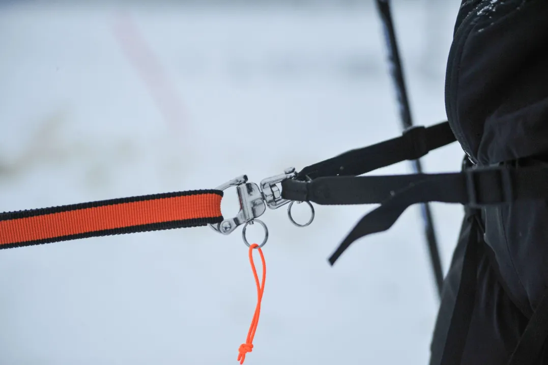 Non-stop Dogwear Løype Belt Pro Black