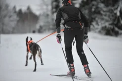 Non-stop Dogwear Løype Belt Pro Black