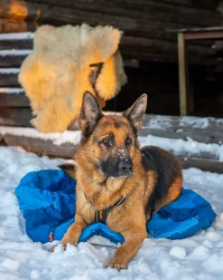 Non-stop Dogwear Ly Sleepingbag For Dog Blue