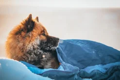 Non-stop Dogwear Ly Sleepingbag For Dog Blue