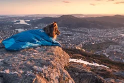 Non-stop Dogwear Ly Sleepingbag For Dog Blue